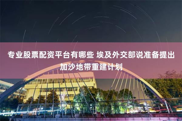 专业股票配资平台有哪些 埃及外交部说准备提出加沙地带重建计划