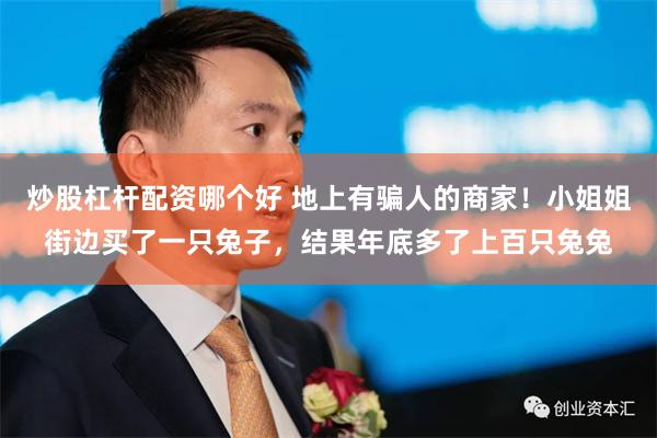 炒股杠杆配资哪个好 地上有骗人的商家！小姐姐街边买了一只兔子，结果年底多了上百只兔兔