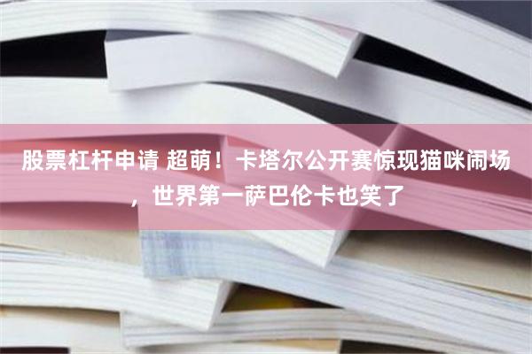 股票杠杆申请 超萌！卡塔尔公开赛惊现猫咪闹场，世界第一萨巴伦卡也笑了