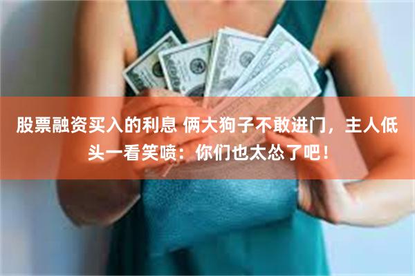 股票融资买入的利息 俩大狗子不敢进门，主人低头一看笑喷：你们也太怂了吧！