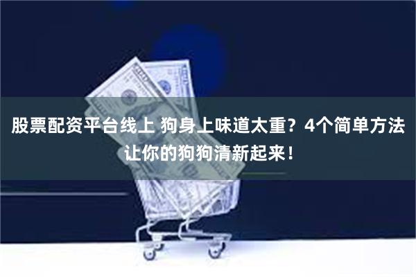 股票配资平台线上 狗身上味道太重？4个简单方法让你的狗狗清新起来！