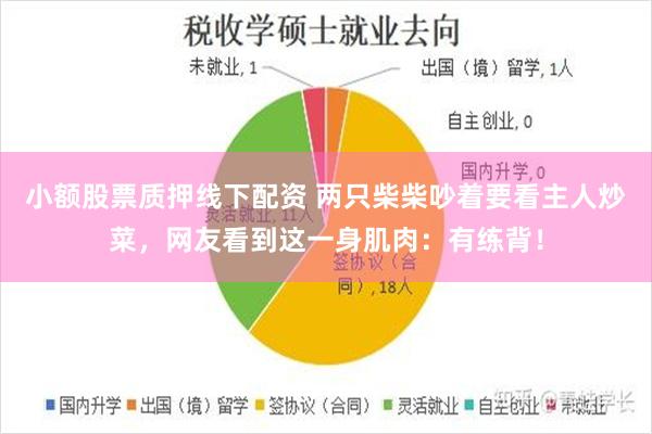 小额股票质押线下配资 两只柴柴吵着要看主人炒菜，网友看到这一身肌肉：有练背！