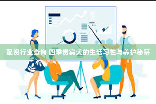 配资行业查询 四季贵宾犬的生活习性与养护秘籍