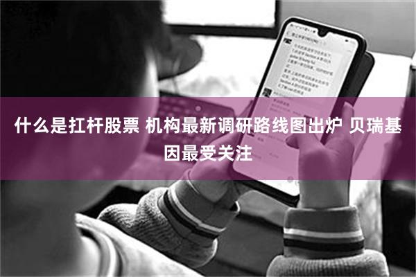 什么是扛杆股票 机构最新调研路线图出炉 贝瑞基因最受关注