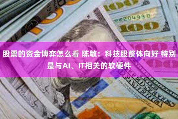 股票的资金博弈怎么看 陈敏：科技股整体向好 特别是与AI、IT相关的软硬件