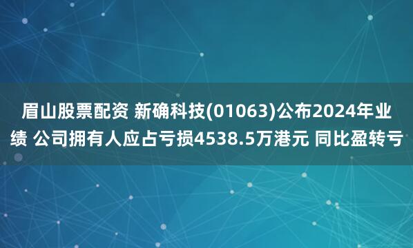 眉山股票配资 新确科技(01063)公布2024年业绩 公司拥有人应占亏损4538.5万港元 同比盈转亏