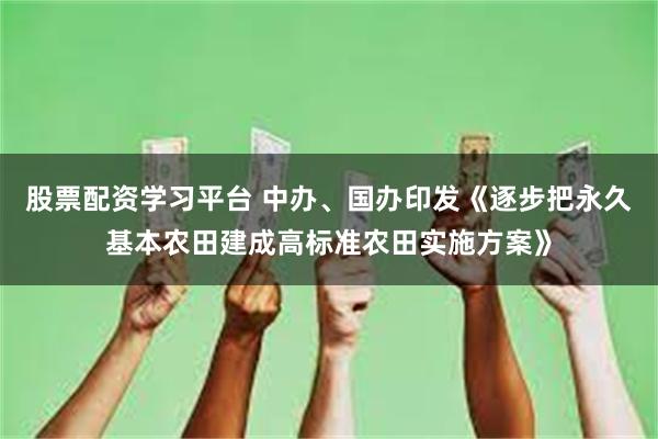 股票配资学习平台 中办、国办印发《逐步把永久基本农田建成高标准农田实施方案》