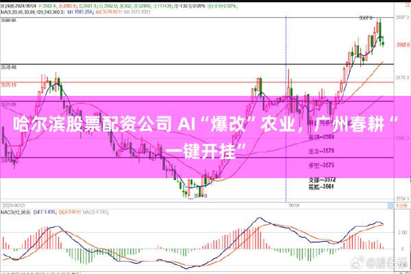 哈尔滨股票配资公司 AI“爆改”农业，广州春耕“一键开挂”