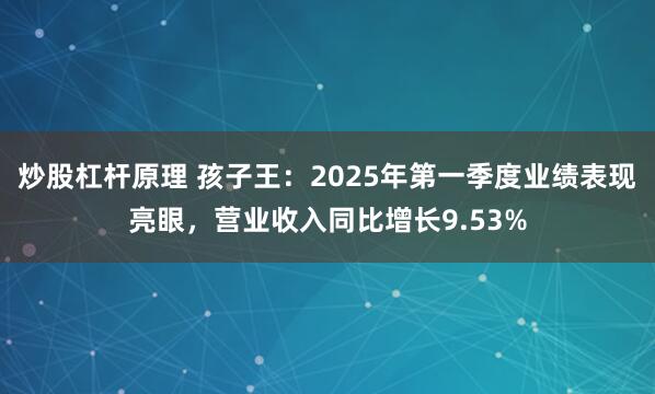 炒股杠杆原理 孩子王：2025年第一季度业绩表现亮眼，营业收入同比增长9.53%