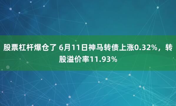 股票杠杆爆仓了 6月11日神马转债上涨0.32%，转股溢价率11.93%