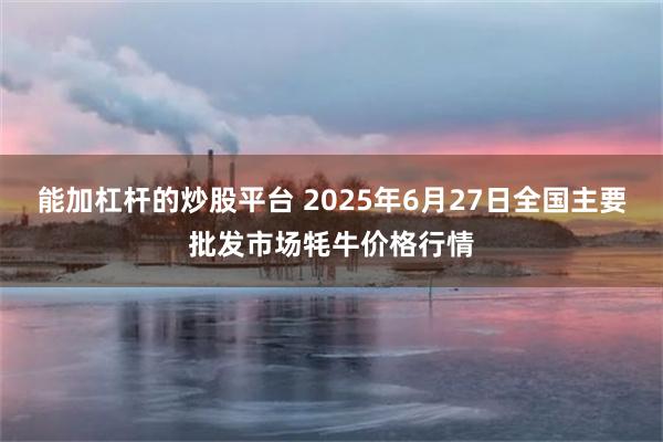 能加杠杆的炒股平台 2025年6月27日全国主要批发市场牦牛价格行情